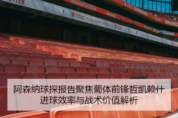 阿森纳球探报告聚焦葡体前锋哲凯赖什进球效率与战术价值解析