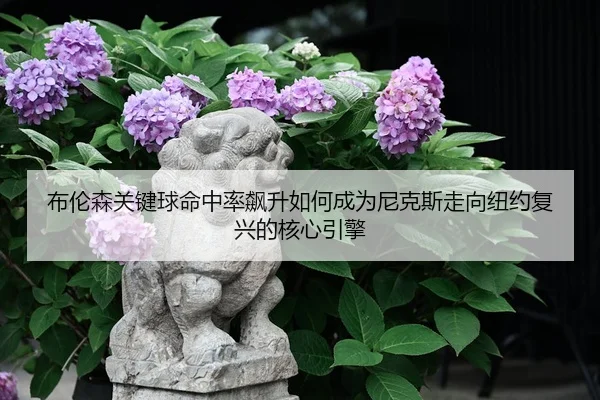 布伦森关键球命中率飙升如何成为尼克斯走向纽约复兴的核心引擎