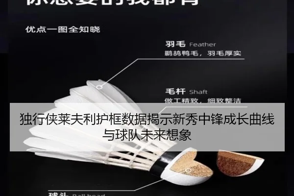 独行侠莱夫利护框数据揭示新秀中锋成长曲线与球队未来想象
