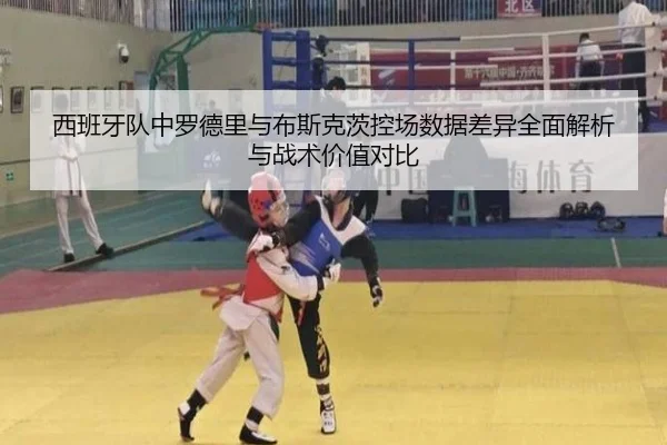 西班牙队中罗德里与布斯克茨控场数据差异全面解析与战术价值对比