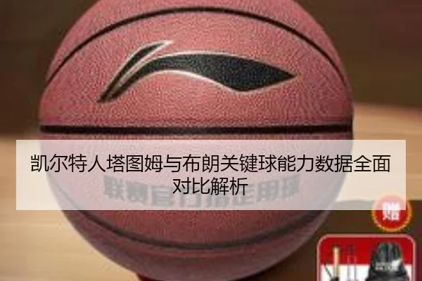 凯尔特人塔图姆与布朗关键球能力数据全面对比解析