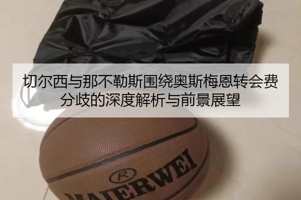 切尔西与那不勒斯围绕奥斯梅恩转会费分歧的深度解析与前景展望